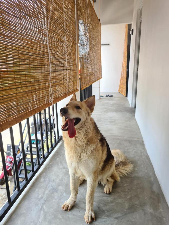 Dip N Doze Hostel Ahangama Luaran gambar